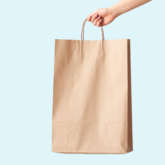 Kraft Paper Bag with Twist Handles